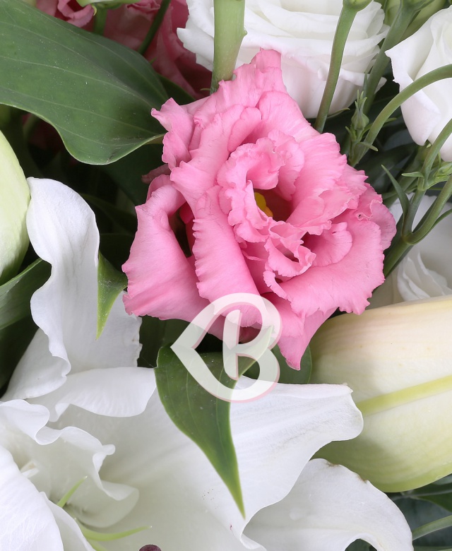 Imaginea produsului Prețuire Deosebită