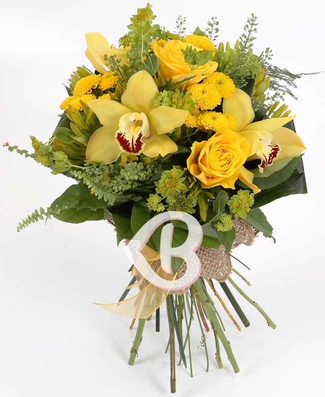 Imaginea produsului Răsare Soarele