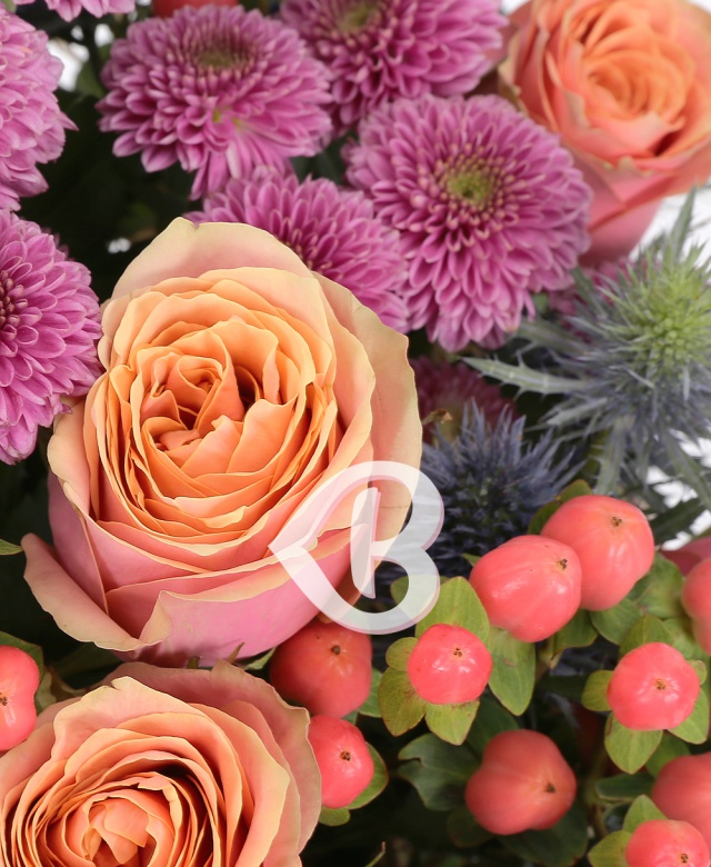 Imaginea produsului Pasiune Cu Scântei