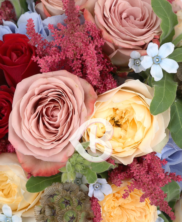 Imaginea produsului Senzație Unică