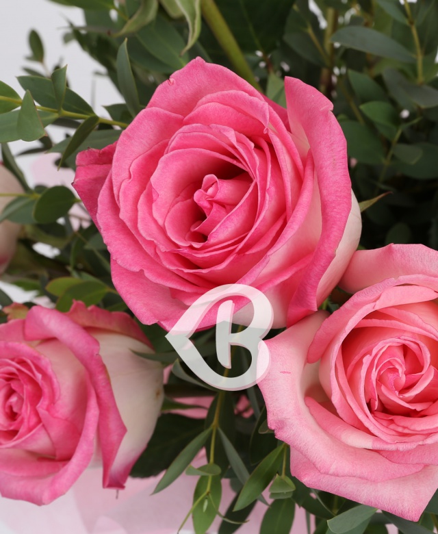 Imaginea produsului Gingășie Roz