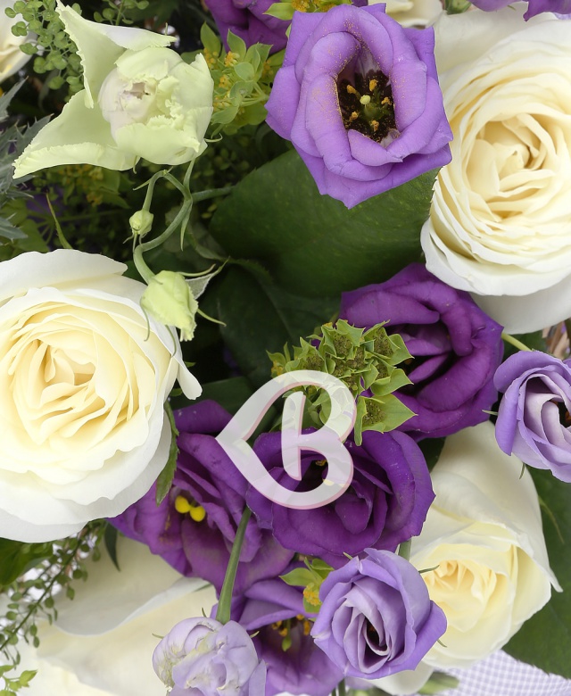 Imaginea produsului Admirație Pură