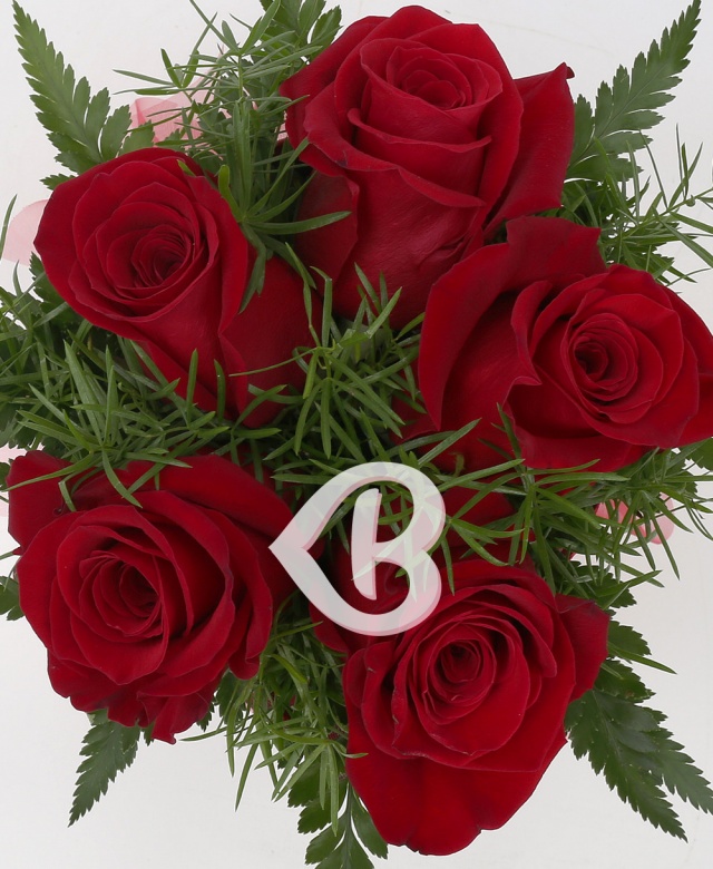 Imaginea produsului Pasiunea Trandafirilor Naturali