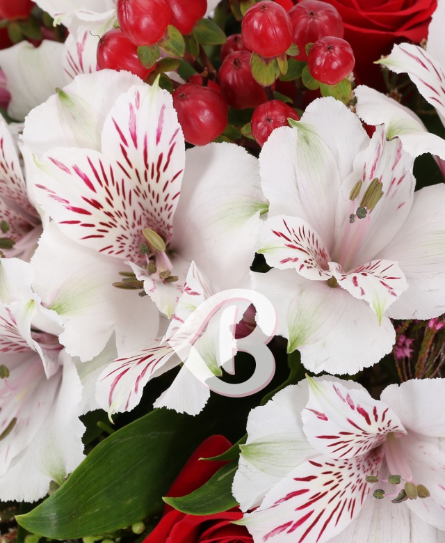 Imaginea produsului Fluturi Din Grădină