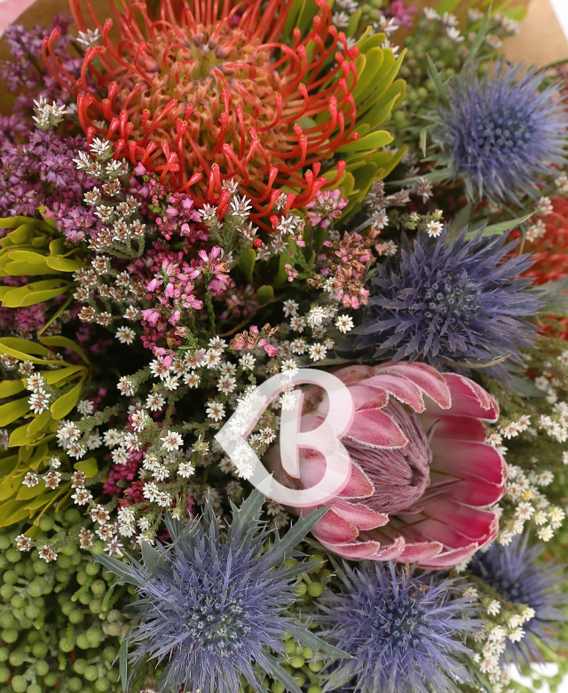 Imaginea produsului Galaxie Cu Flori