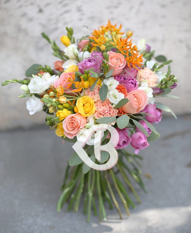 Imaginea produsului Carusel îndrăzneţ