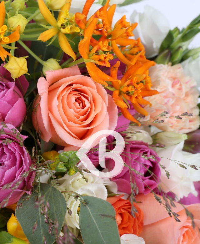 Imaginea produsului Carusel îndrăzneţ