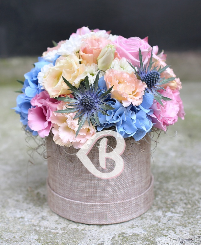 Imaginea produsului Adorație Clară