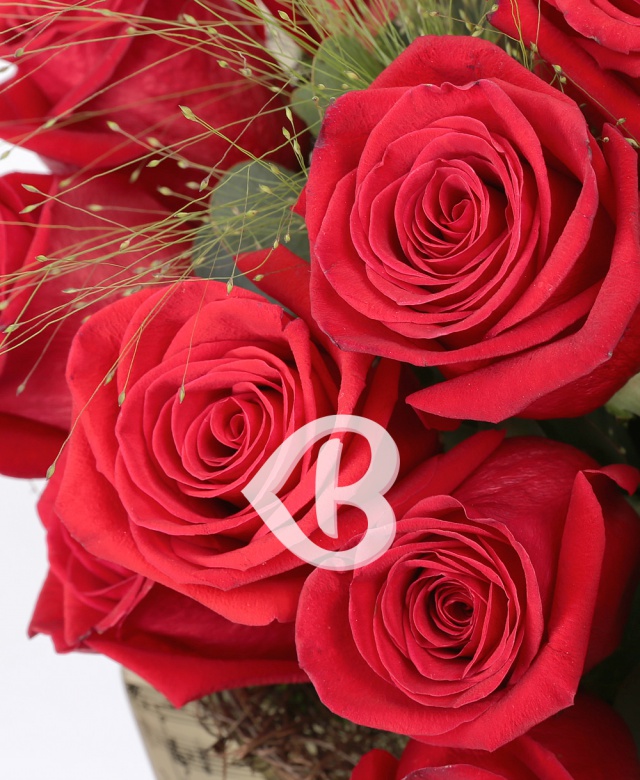 Imaginea produsului Cuibul Pasiunii