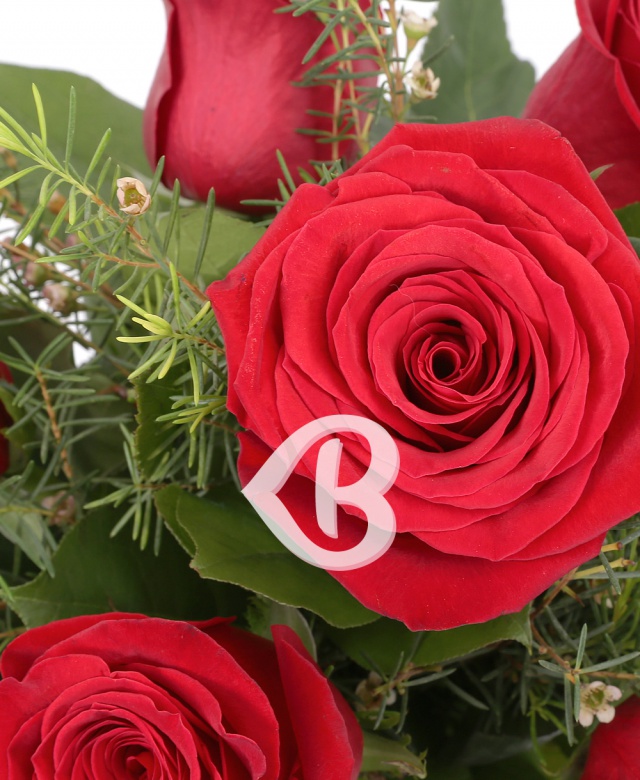 Imaginea produsului Iubire înțeleasă