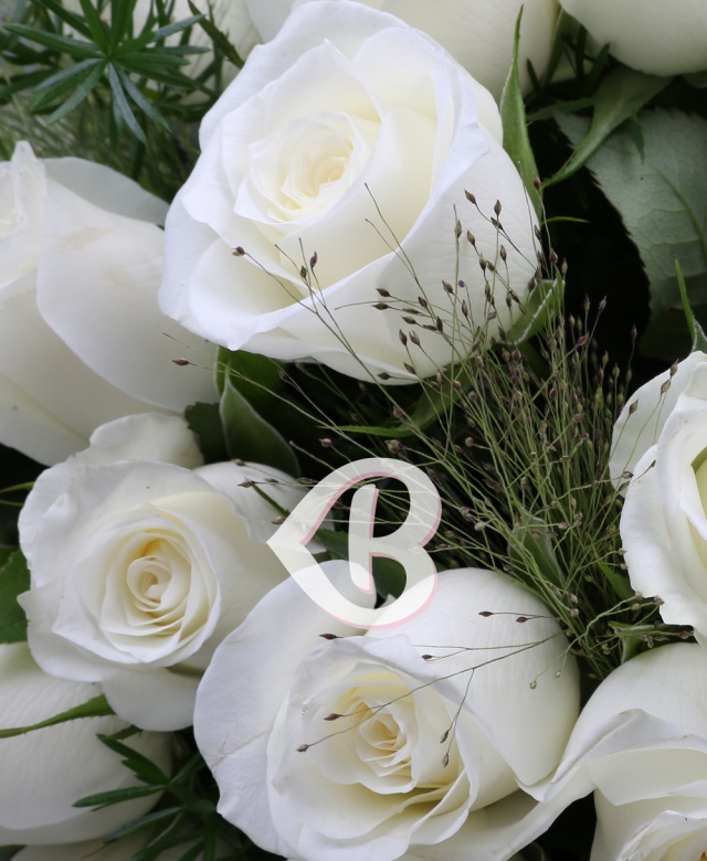 Imaginea produsului 51 Trandafiri Albi