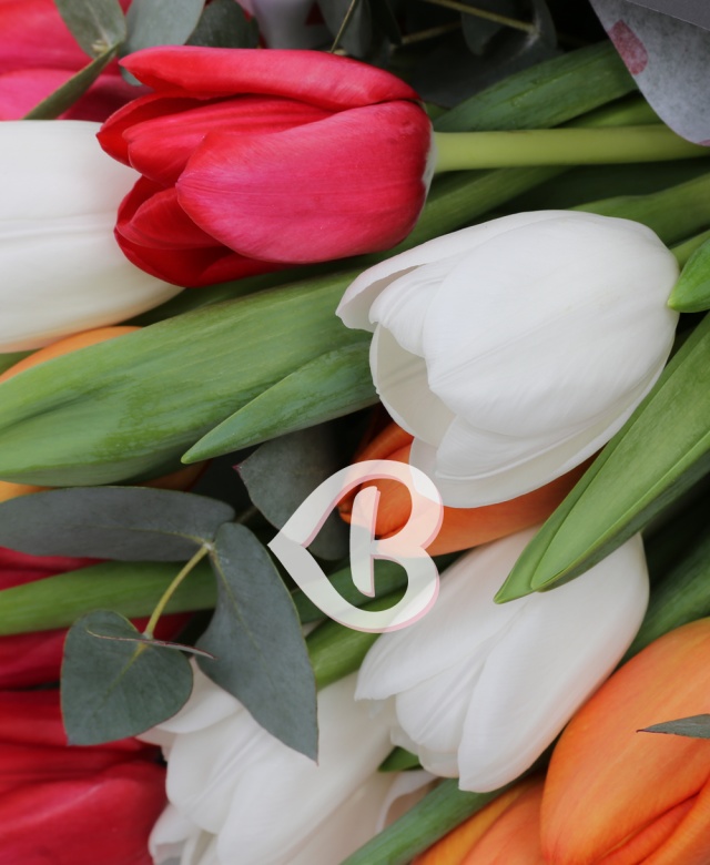 Imaginea produsului Veselia Primaverii