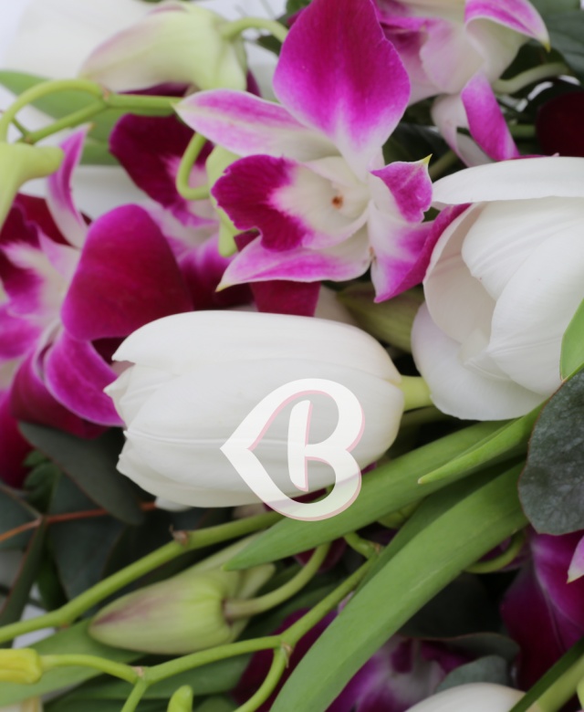 Imaginea produsului Orhidee Cu Lalele