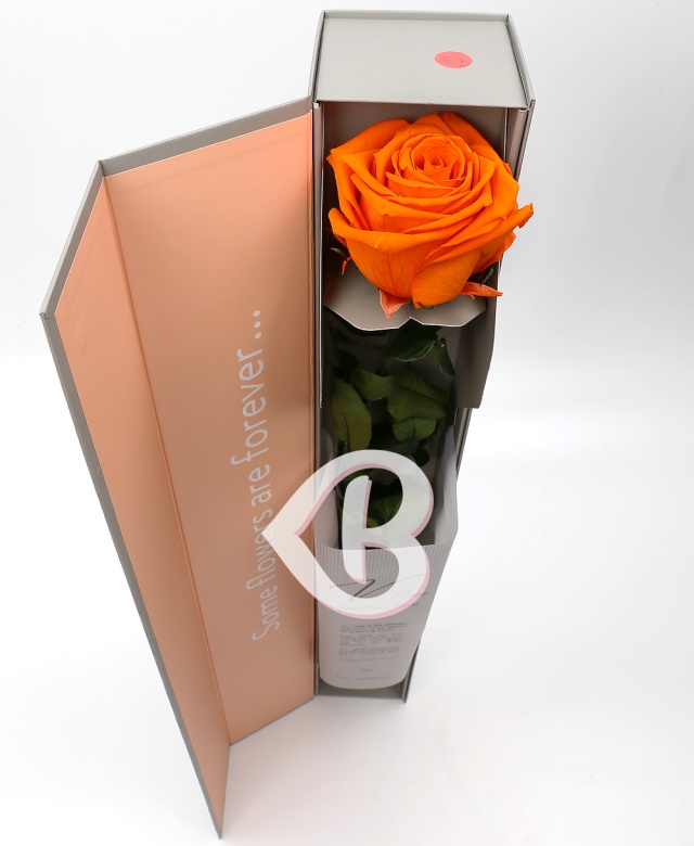 Imaginea produsului Trandafir Portocaliu Criogenat