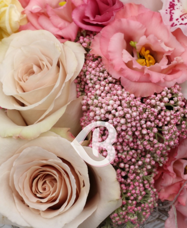 Imaginea produsului Coș Zglobiu