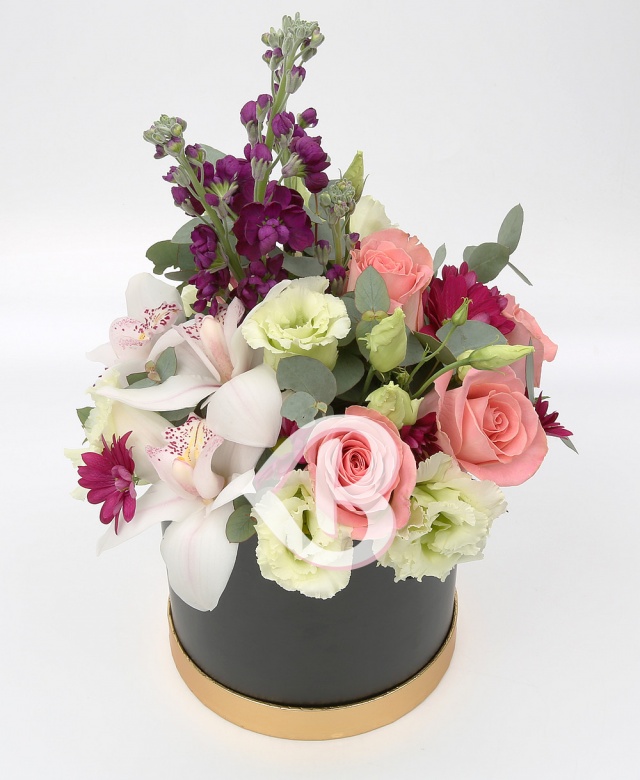 Imaginea produsului Cutie Rafinată