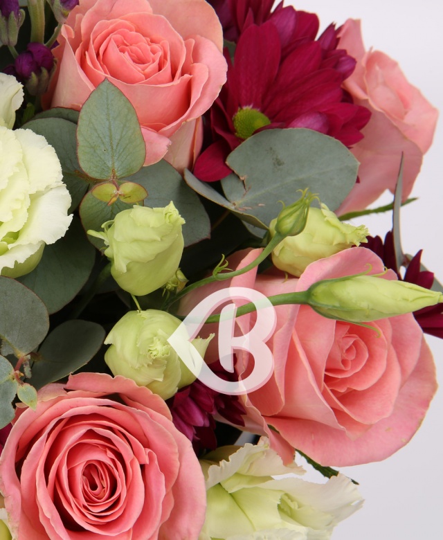 Imaginea produsului Cutie Rafinată