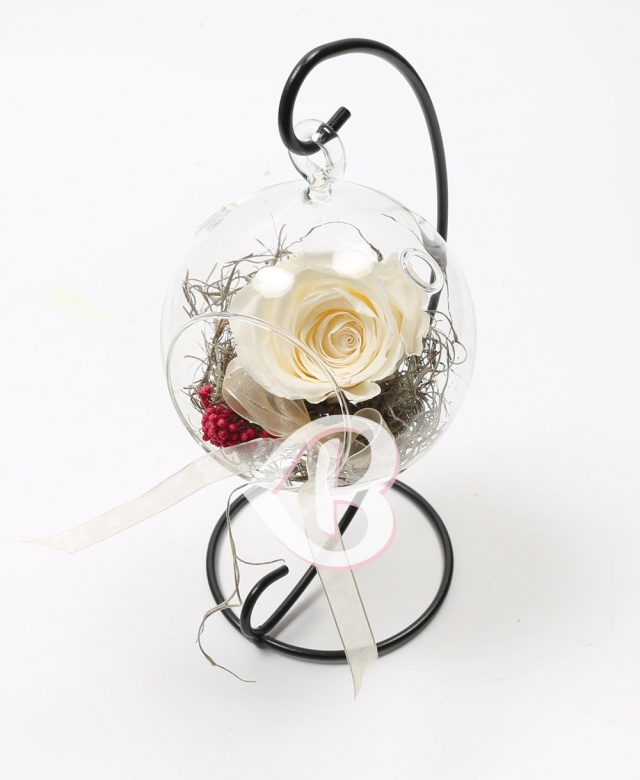 Imaginea produsului Trandafir Alb Criogenat în Glob