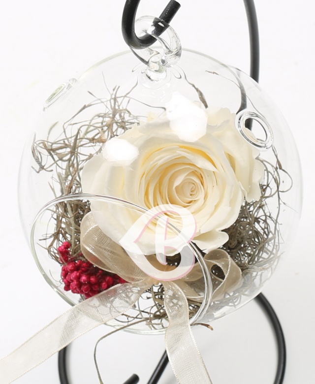 Imaginea produsului Trandafir Alb Criogenat în Glob