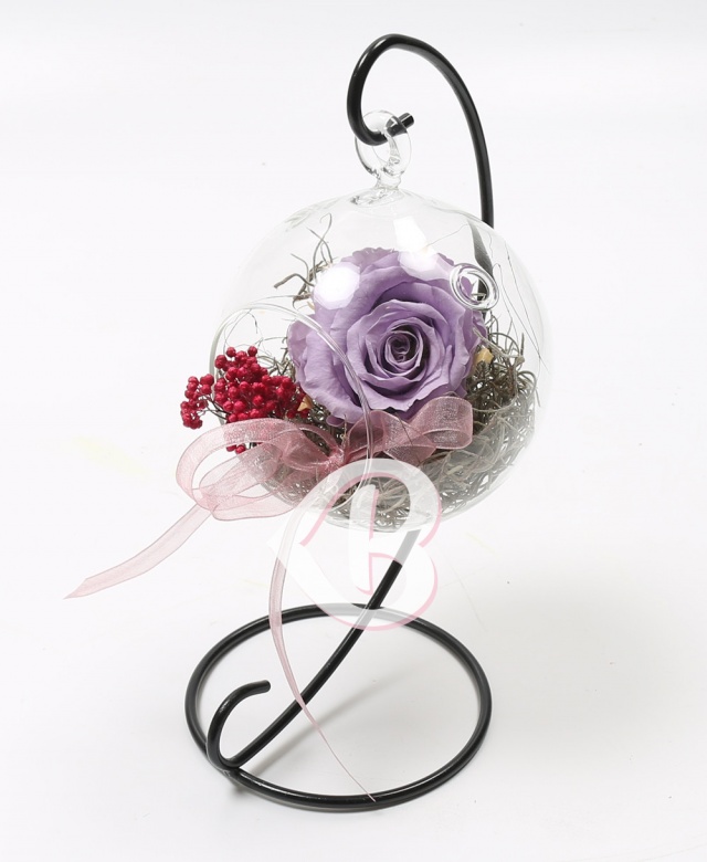 Imaginea produsului Trandafir Mov Criogenat în Glob