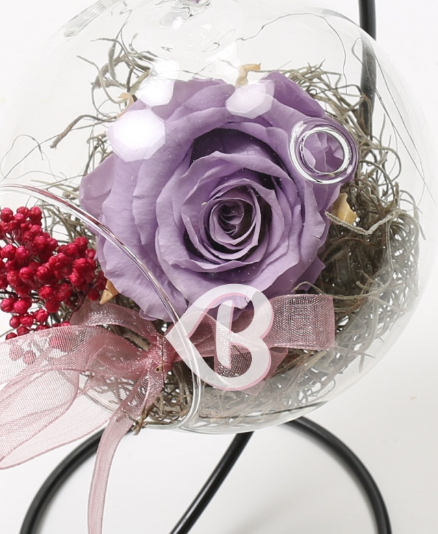 Imaginea produsului Trandafir Mov Criogenat în Glob