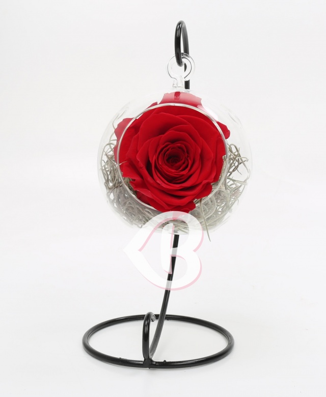 Imaginea produsului Trandafir Roșu Criogenat în Glob