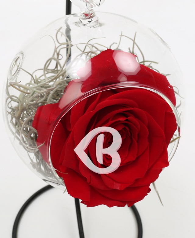 Imaginea produsului Trandafir Roșu Criogenat în Glob