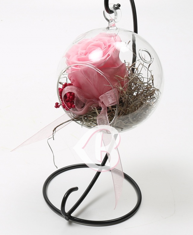 Imaginea produsului Trandafir Roz Criogenat în Glob