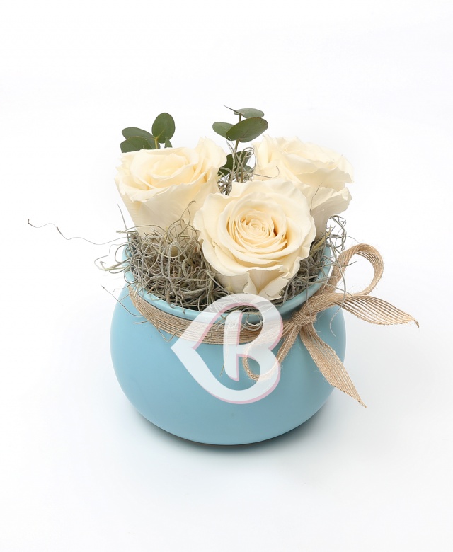 Imaginea produsului Vas Cu 3 Trandafiri Criogenați Albi