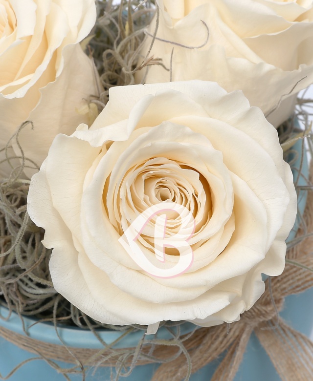 Imaginea produsului Vas Cu 3 Trandafiri Criogenați Albi