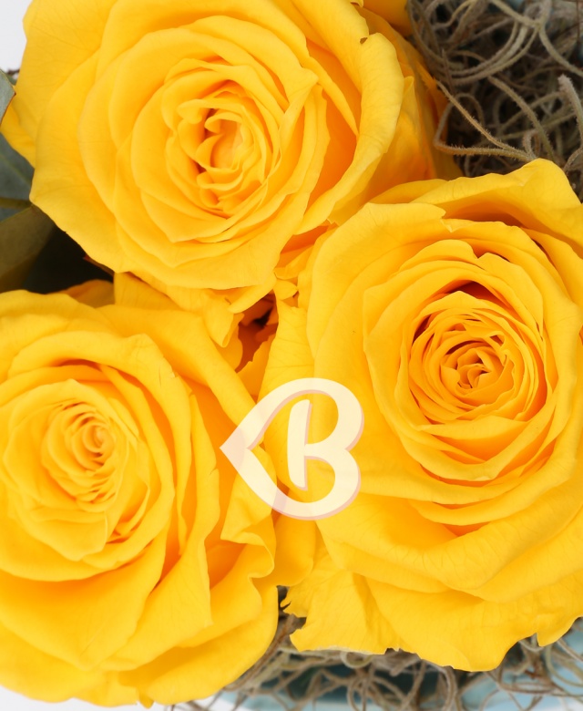 Imaginea produsului Vas Cu 3 Trandafiri Criogenați Galbeni