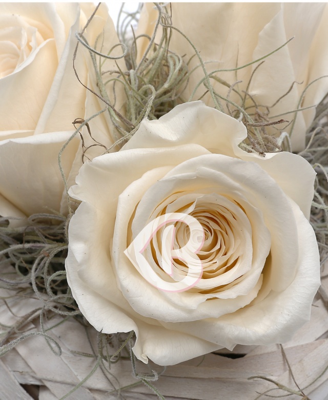 Imaginea produsului Coș Cu Trei Trandafiri Criogenați Albi