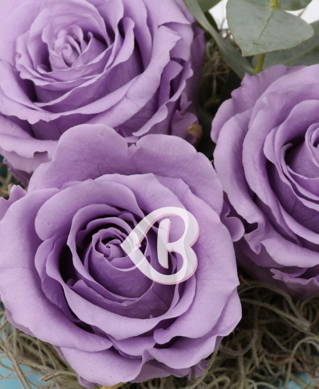 Imaginea produsului Vas Trei Trandafiri Criogenați Mov