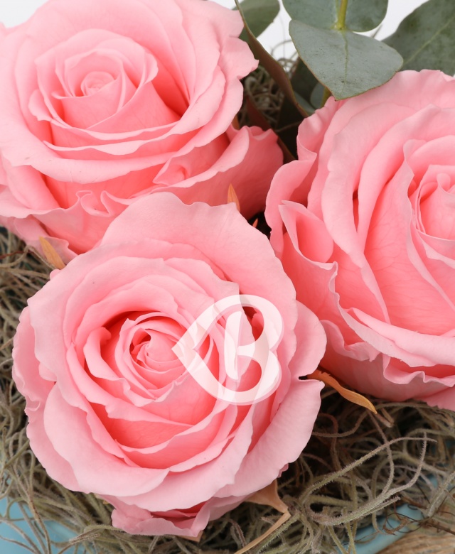 Imaginea produsului Vas Trei Trandafiri Criogenați Roz