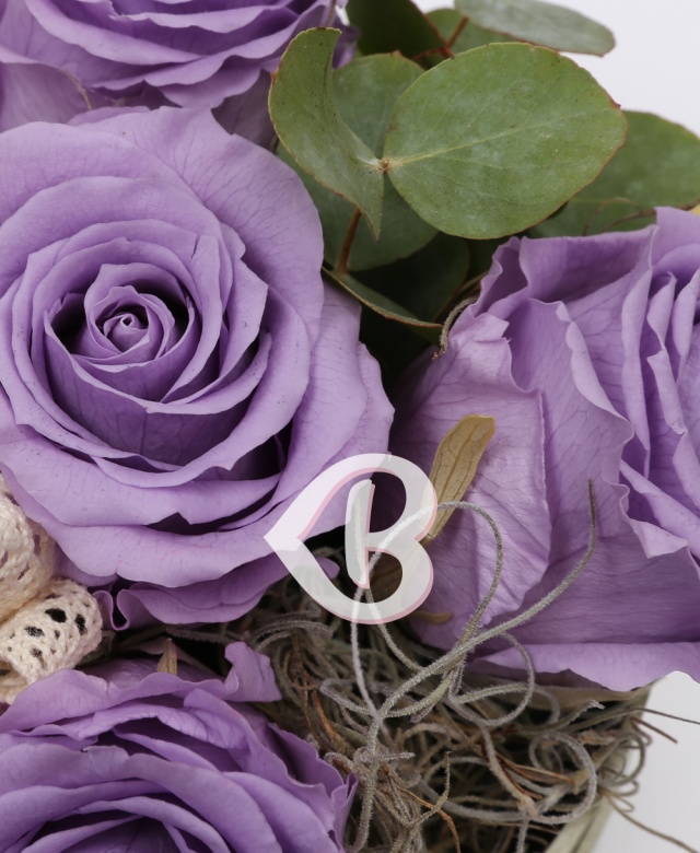 Imaginea produsului 5 Trandafiri Criogenați Mov