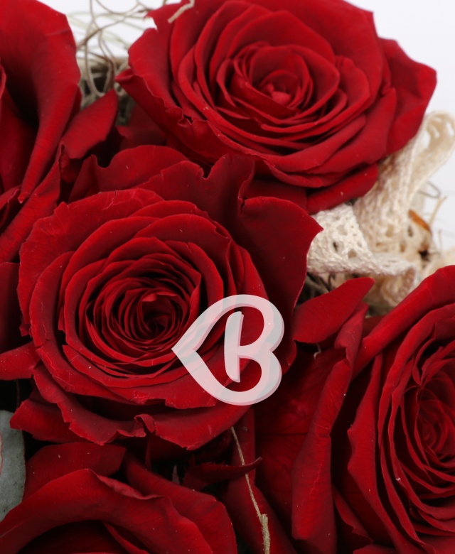 Imaginea produsului Cutie 5 Trandafiri Criogenați Roșii