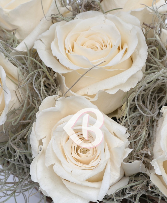 Imaginea produsului Coș 7 Criogenați Crem