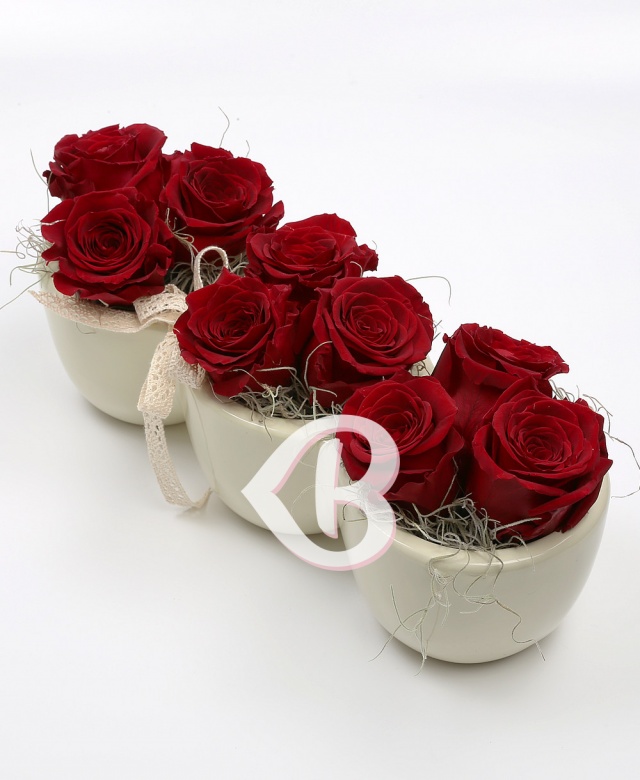 Imaginea produsului Trio 9 Criogenați Roșii