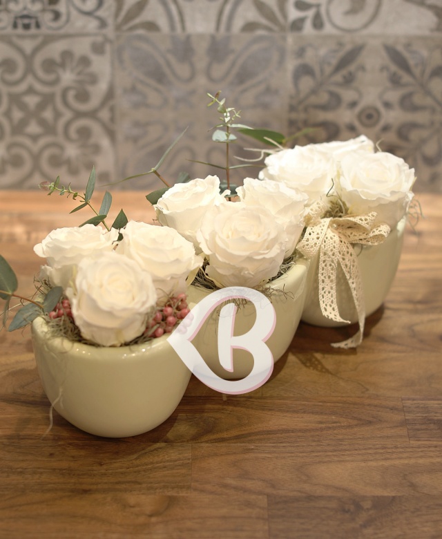 Imaginea produsului Trio 9 Criogenați Albi