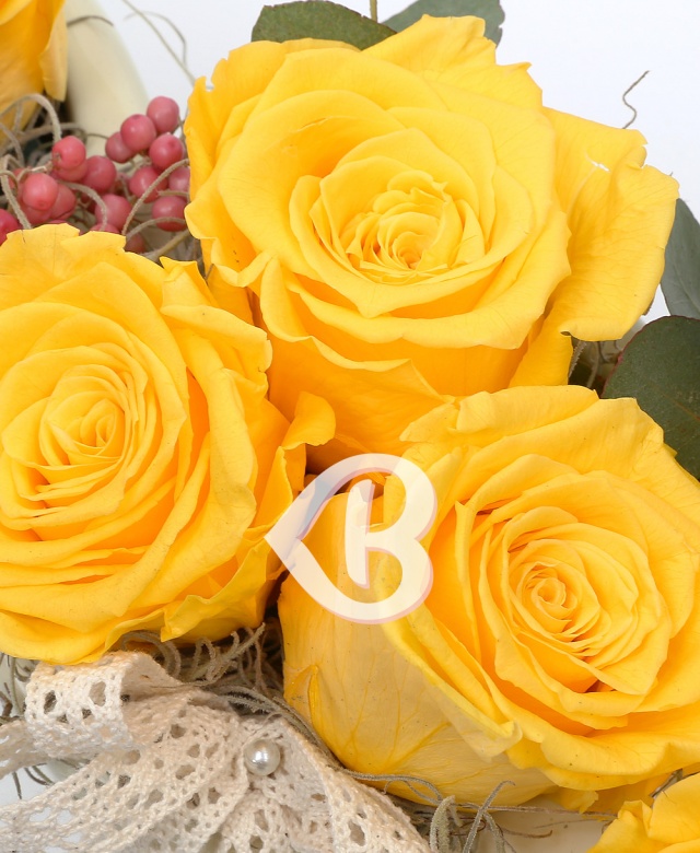 Imaginea produsului Trio 9 Criogenați Galbeni