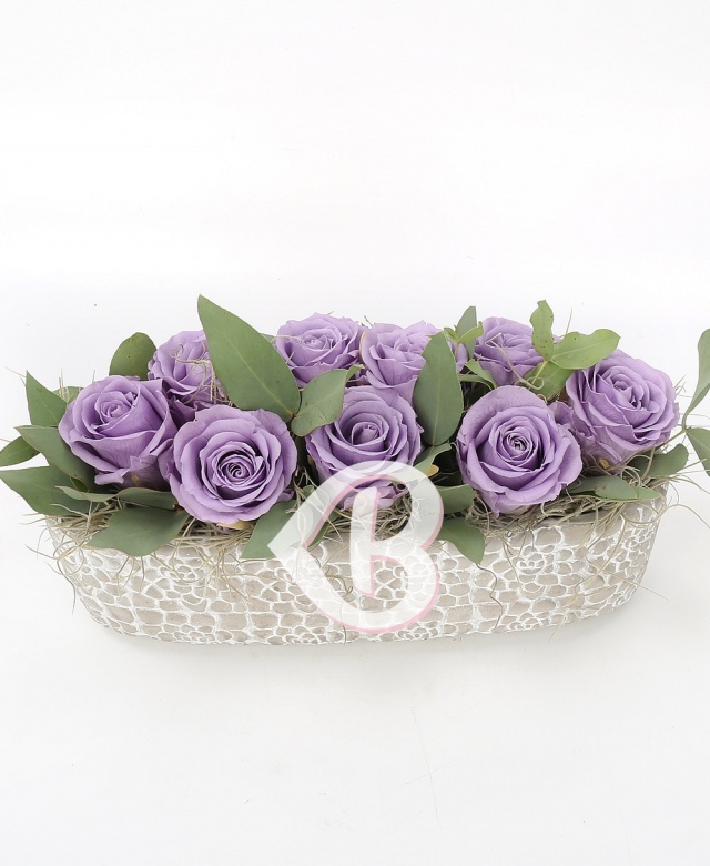 Imaginea produsului Trio 9 Criogenați Mov