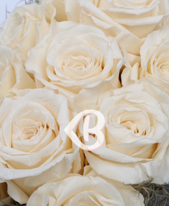 Imaginea produsului Cutie 11 Trandafiri Criogenați Albi