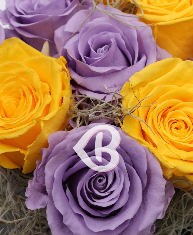 Imaginea produsului Mix Trandafiri Criogenați