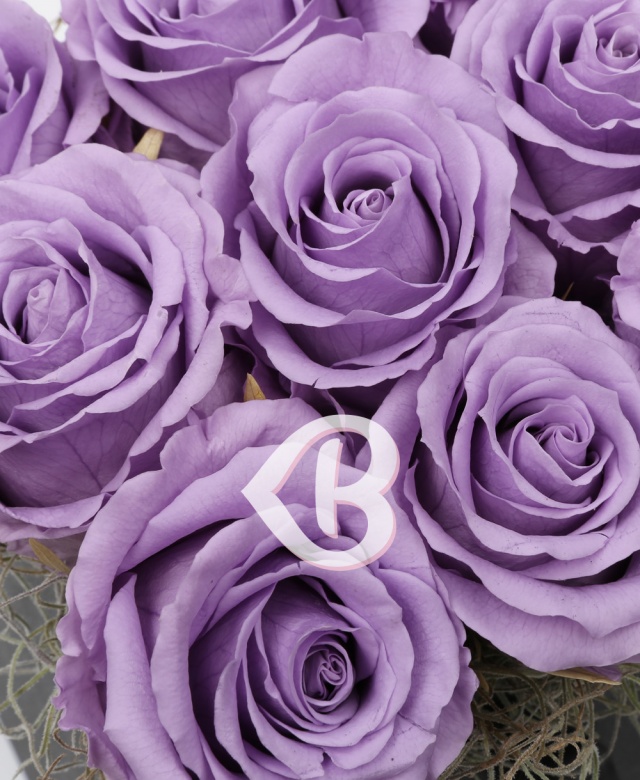 Imaginea produsului Trandafiri Criogenați Mov