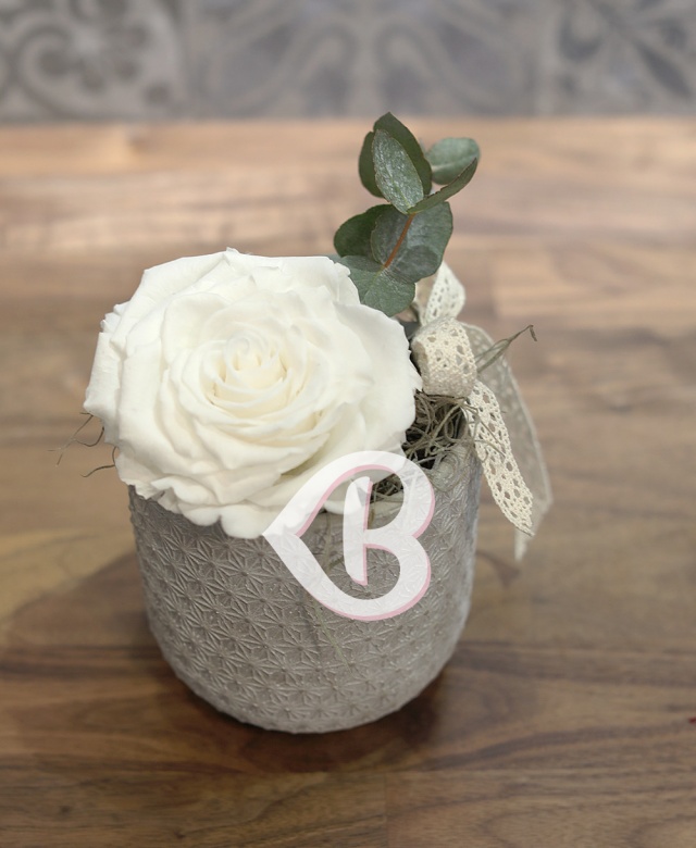 Imaginea produsului King Rose Criogenat Alb