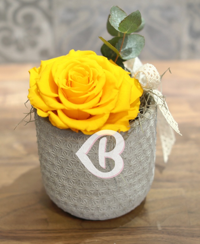 Imaginea produsului King Rose Criogenat Galben