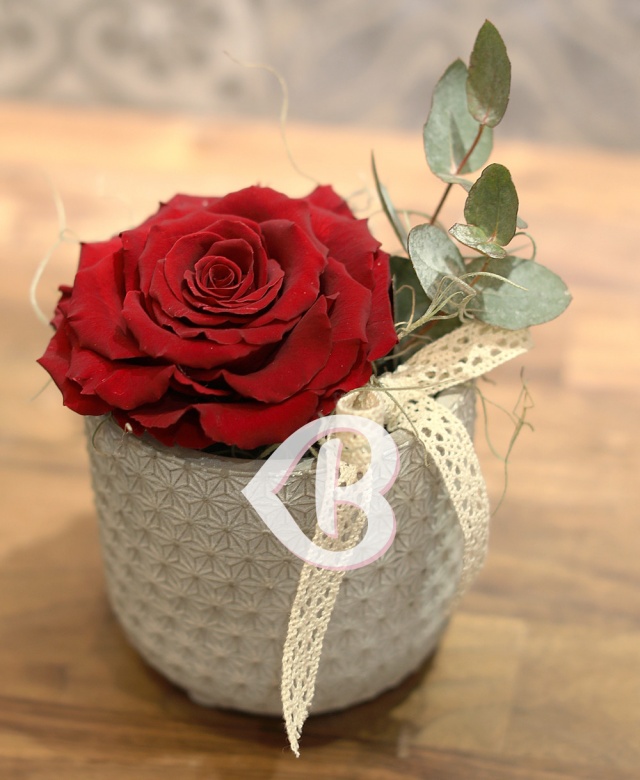 Imaginea produsului King Rose Criogenat Roșu