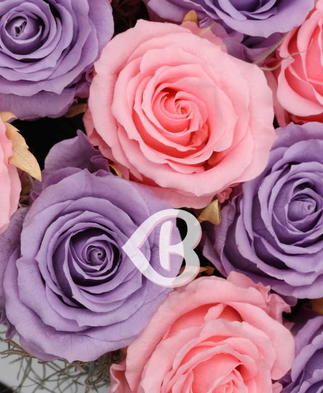 Imaginea produsului 15 Trandafiri Criogenați Mov Roz