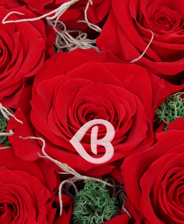 Imaginea produsului Cutie Cu 9 Trandafiri Criogenați