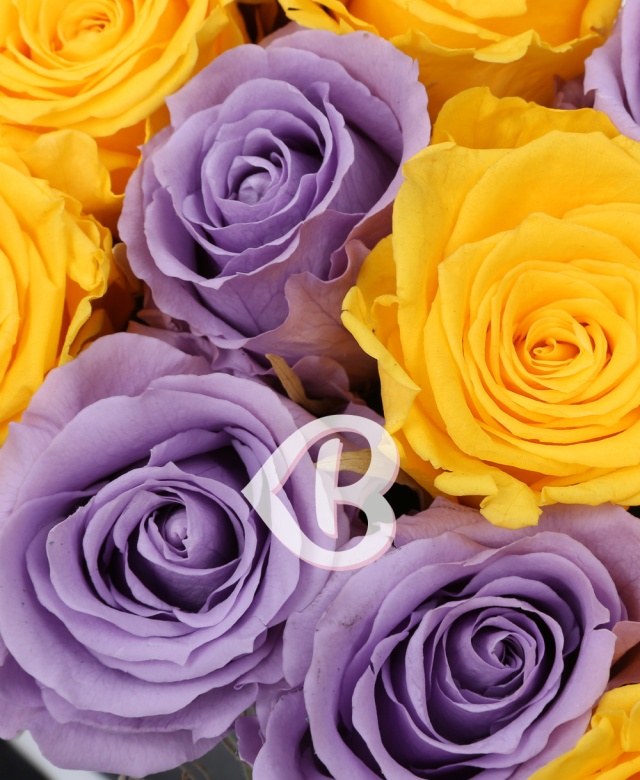 Imaginea produsului Cutie Mix 15 Trandafiri Criogenați